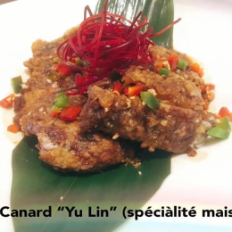 Canard “Yu Lin”